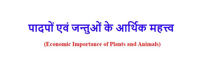 Economic Importance of Plants and Animals